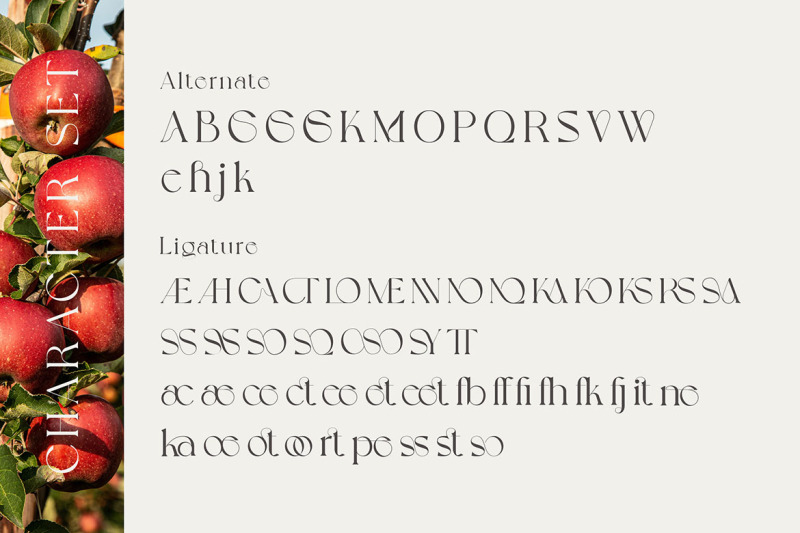 grapevine-modern-serif-font