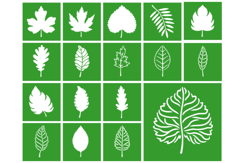 leaf-stencil-leaves-bundles-stencil-tropical-leaves-stencil