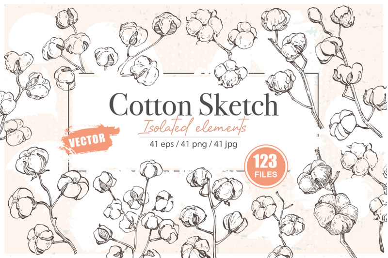 cotton-illustration-outline