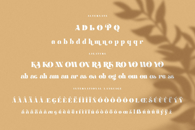 brenham-trendy-serif-font