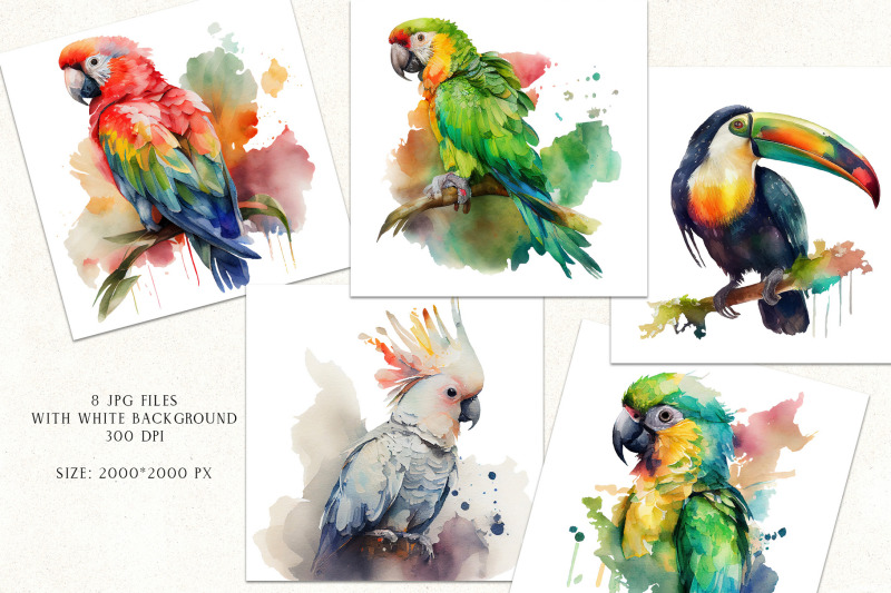watercolor-tropical-birds