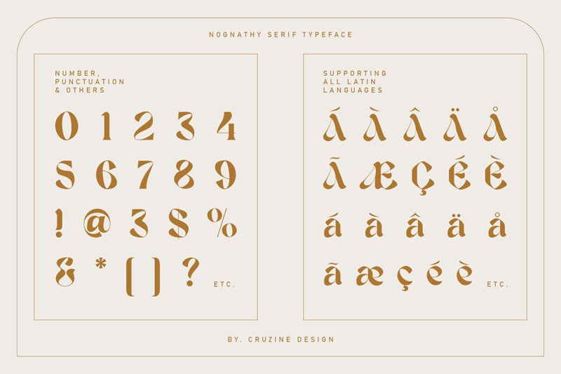 nognathy-artistic-serif-font