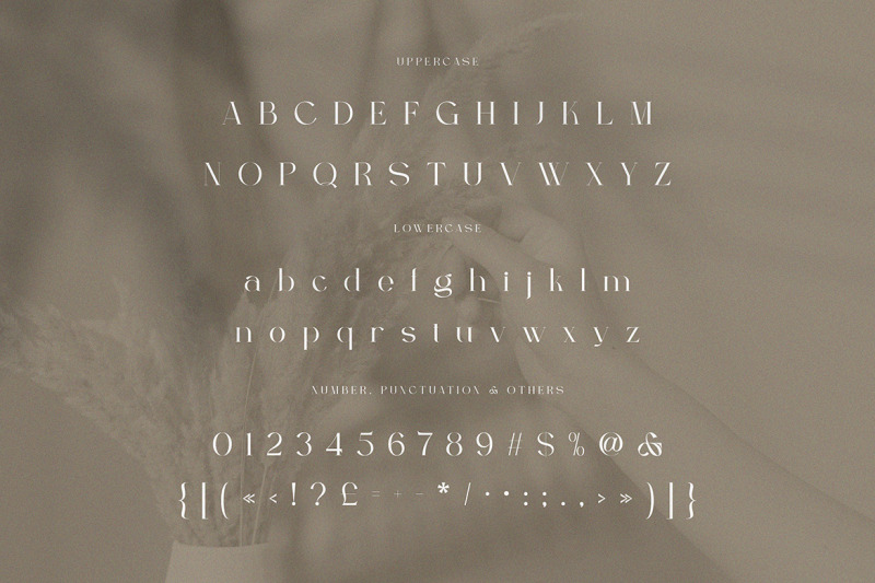 berfilem-editorial-display-serif