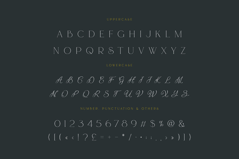 risuali-luxury-typeface