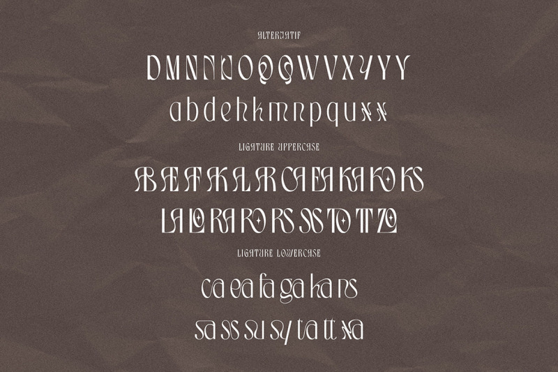 cassnoary-modern-font