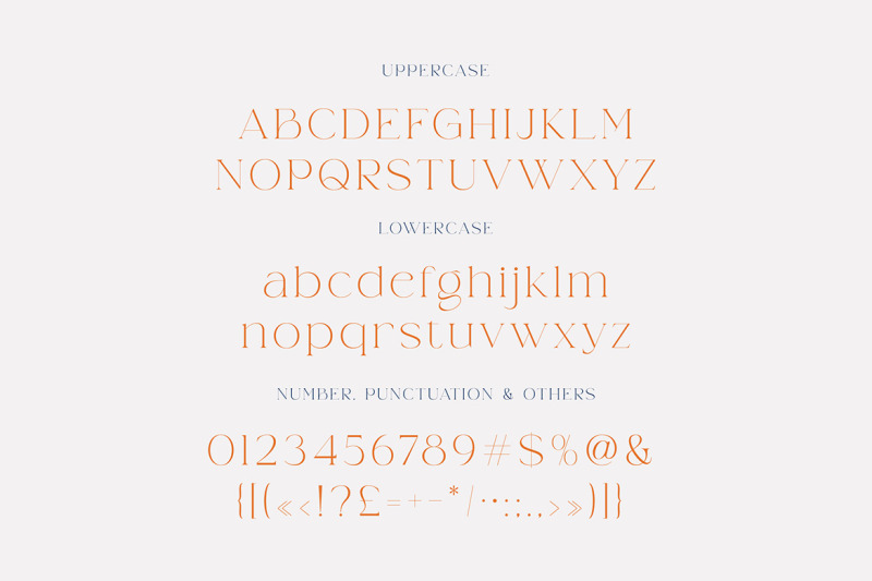 weaser-modern-serif