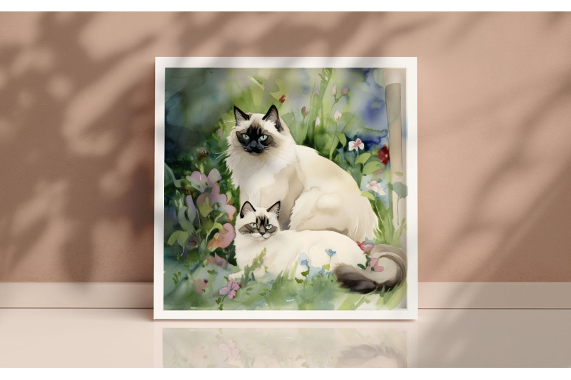 mother-birman-cat-background