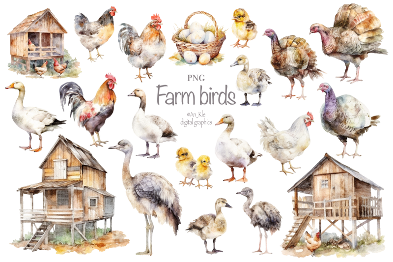 farm-birds-clipart-png