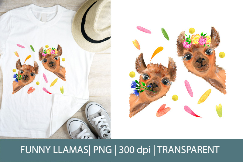 funny-llamas-cute-amp-funny-sublimation