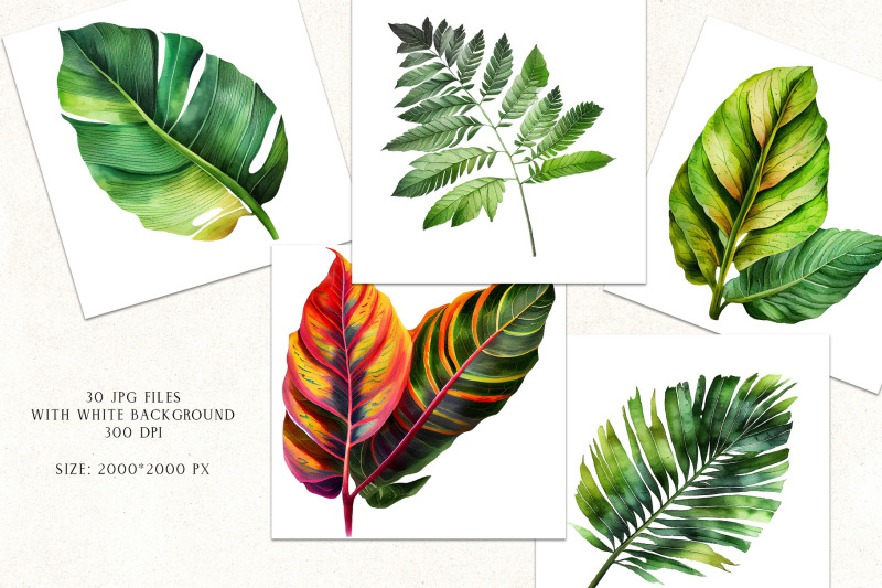 watercolor-tropical-leaves-clipart