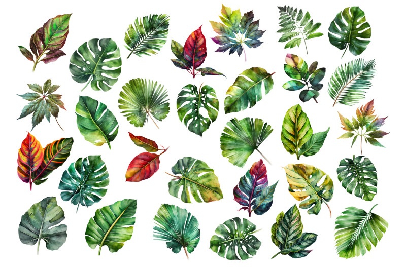 watercolor-tropical-leaves-clipart