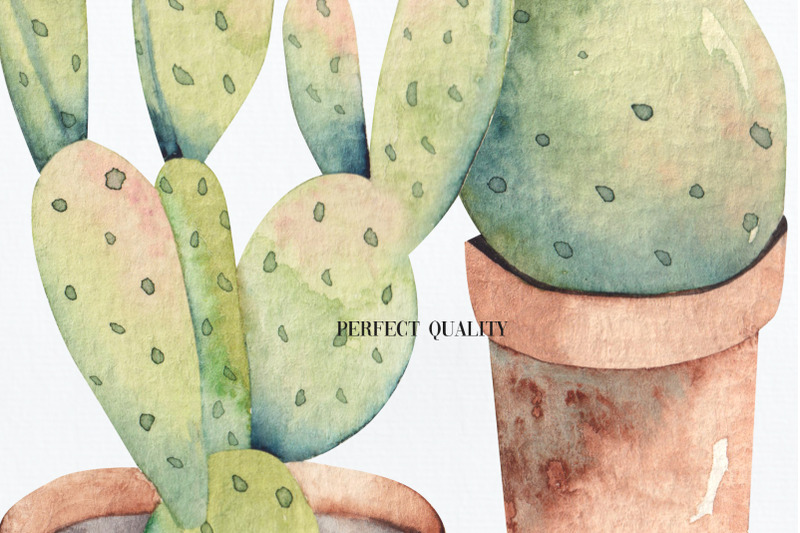 watercolor-cactuses-clipart
