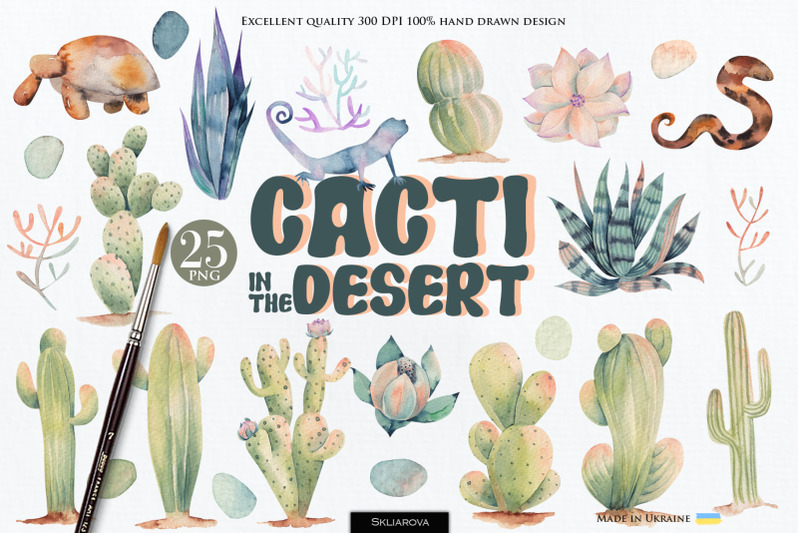 cacti-in-the-desert