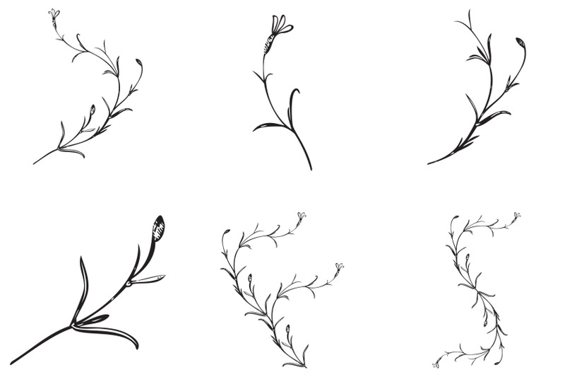 botanical-hand-drawn-plants-bouquets-isolated-on-background-spring-p