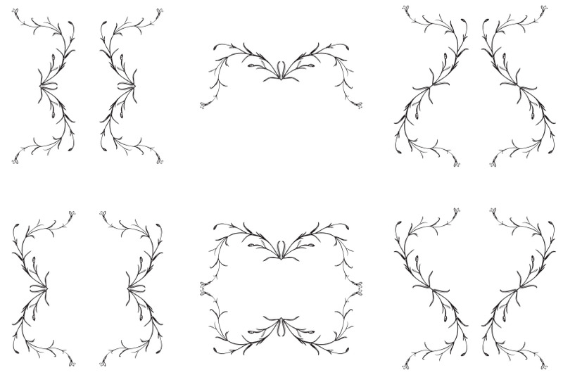 botanical-hand-drawn-frames-set-isolated