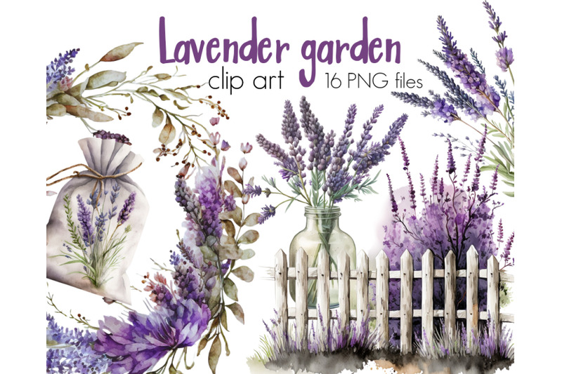 lavender-flowers-clipart