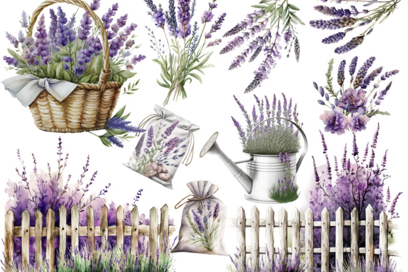 lavender-flowers-clipart