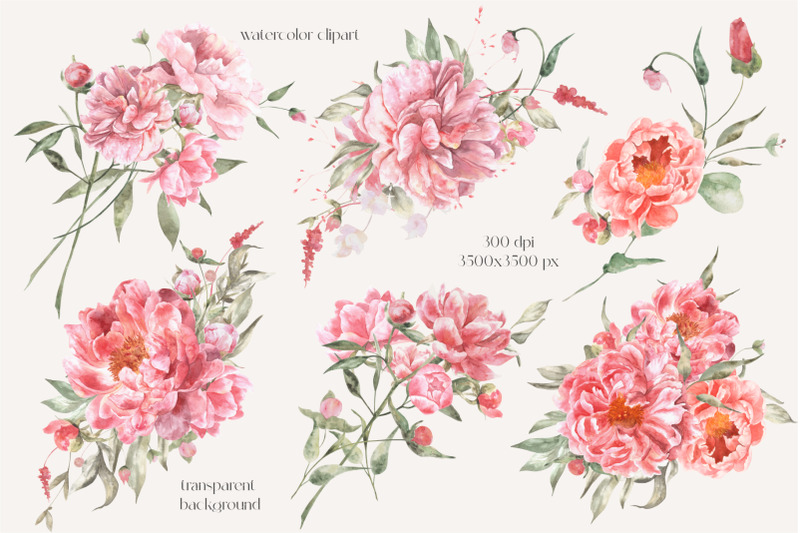 peonies-bouquets-watercolor-clipart