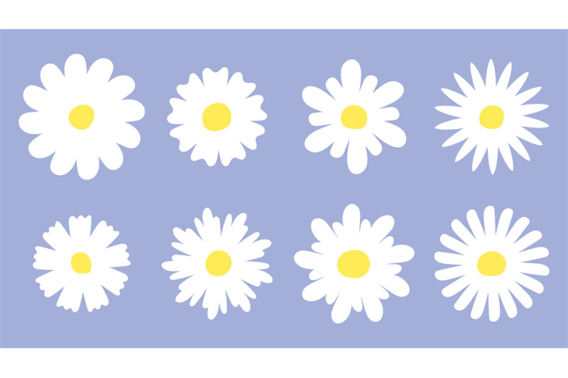 flat-daisy-set-chamomile-meadow-white-flowers-icons-daisies-floral-c