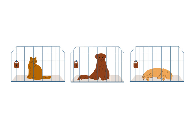 pets-in-cages-homeless-dog-and-cats-adopting-concept-animals-waitin