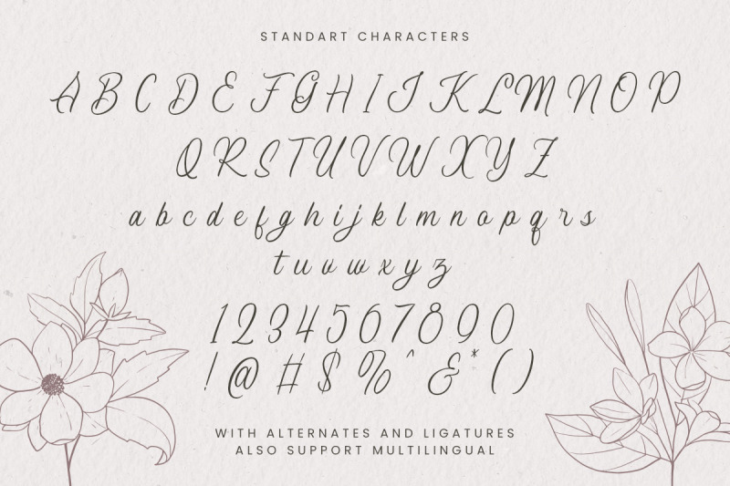 the-margonda-script-font
