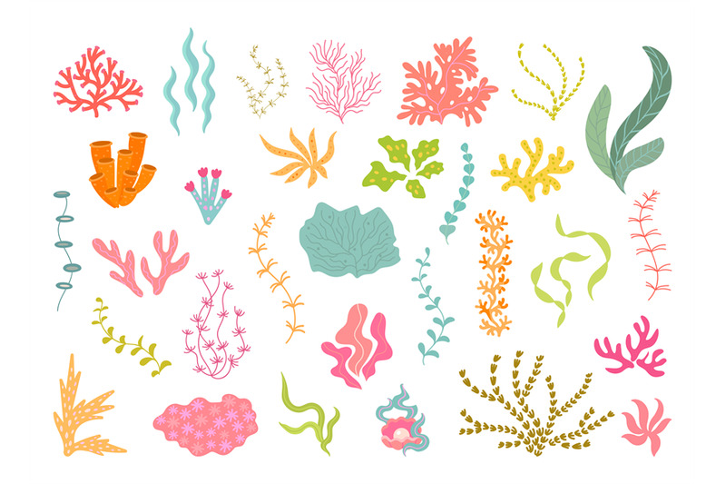 underwater-seaweed-collection-corals-and-algae-ocean-plants-natural