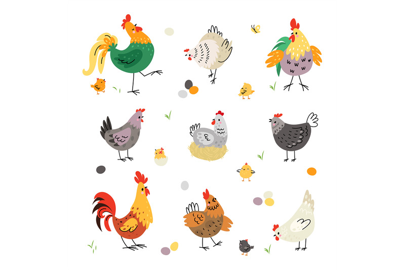 chicken-birds-hen-and-rooster-poultry-breeding-yellow-cartoon-cute