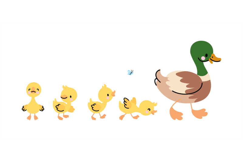 duck-and-ducklings-isolated-concept-cute-duckling-walk-to-mother-fun