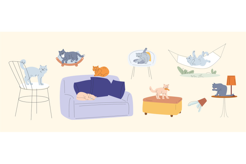 fluffy-cats-various-poses-cat-different-kittens-sleep-on-sofa-resti