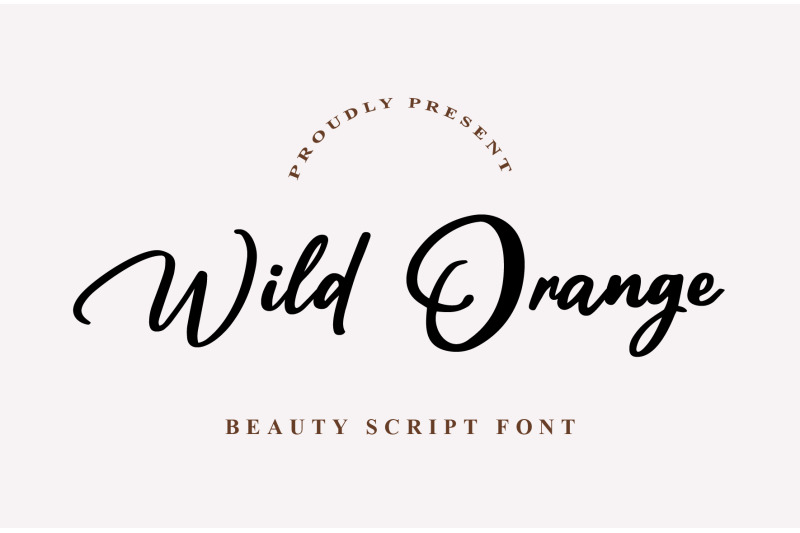 wild-orange-modern-script-font