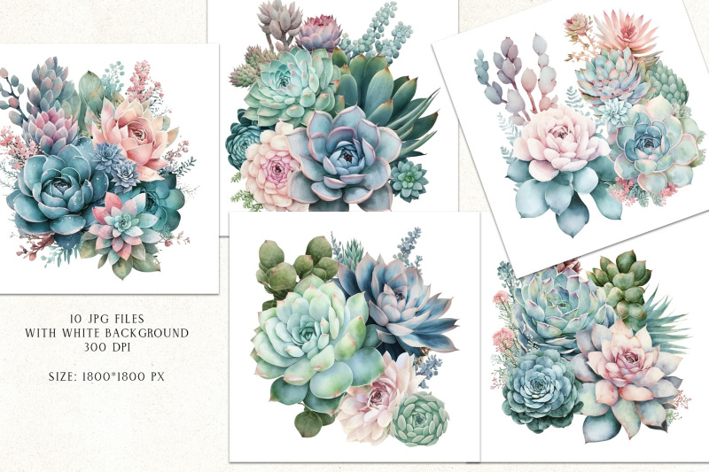watercolor-succulents-clipart