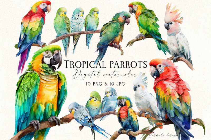 watercolor-tropical-parrots-png-tropical-birds-clipart