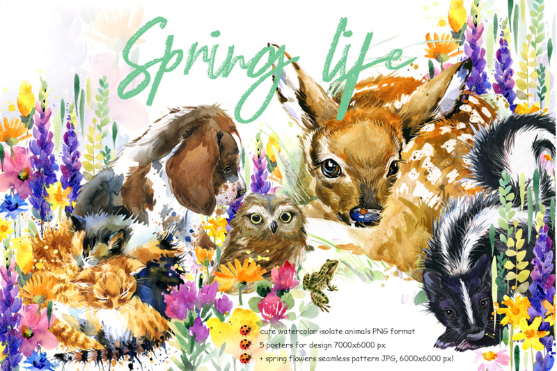 spring-animals