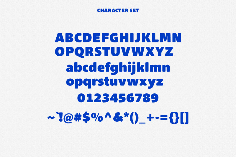 maxes-sans-serif-display-font
