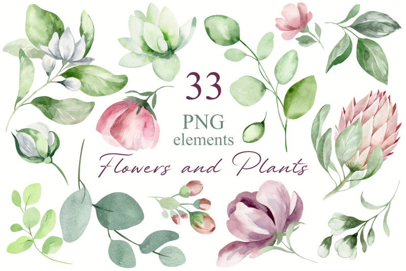 watercolor-set-of-flowers-and-plants-33-png-elements