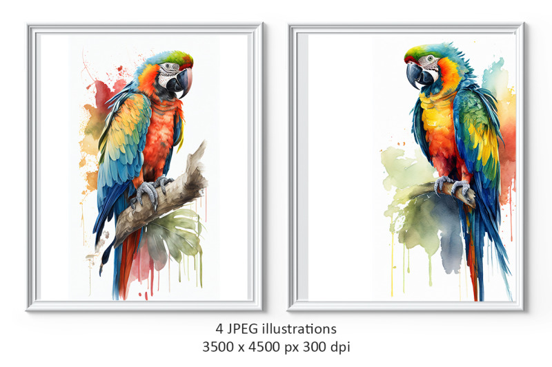 macaw-parrots-watercolor-illustrations