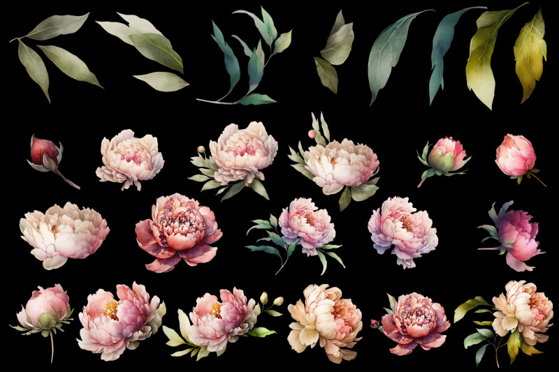 watercolor-peony-flower-clipart-bundle