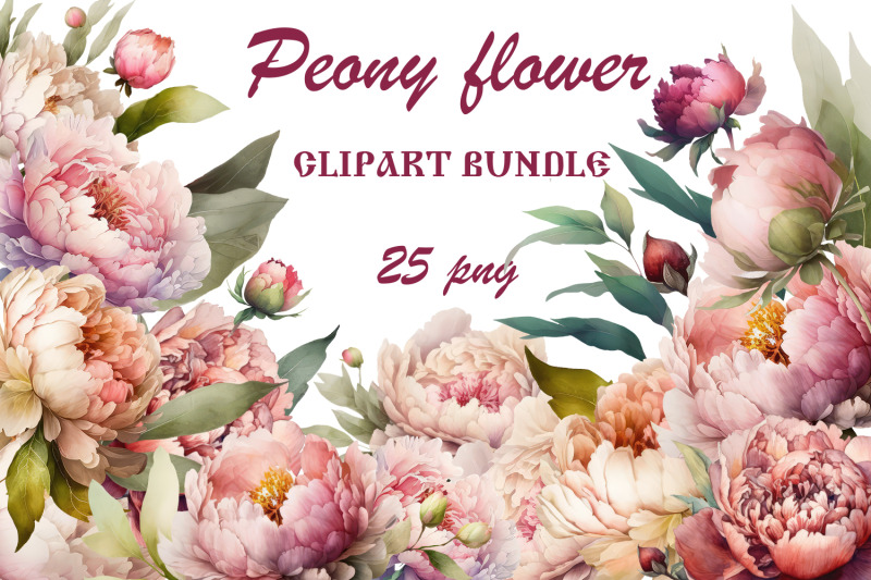 watercolor-peony-flower-clipart-bundle