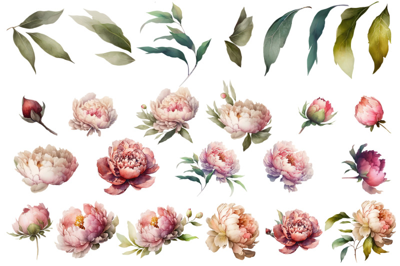 watercolor-peony-flower-clipart-bundle