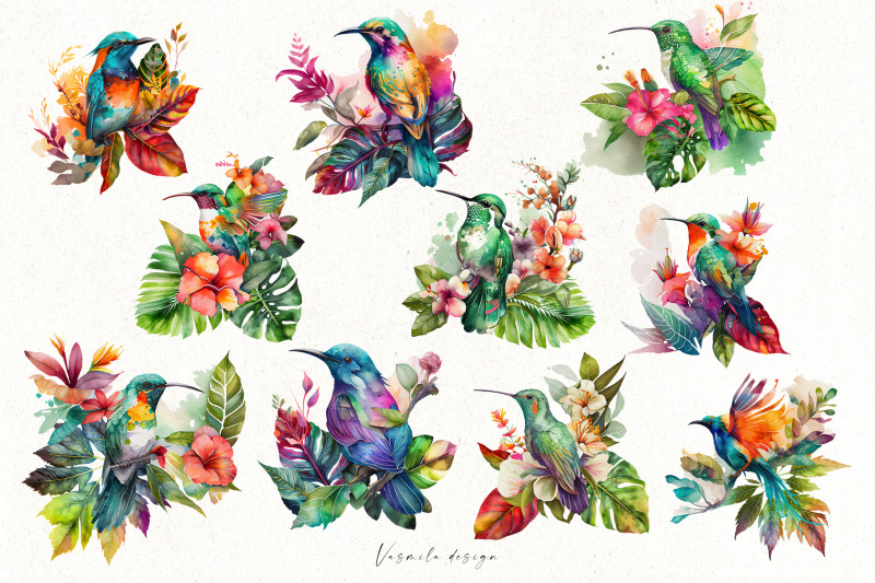 watercolor-tropical-hummingbird