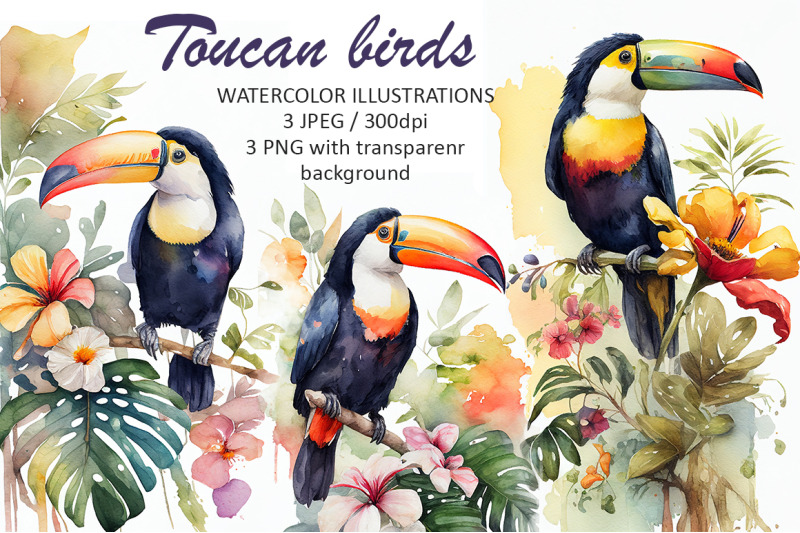 toucan-birds-watercolor-illustrations