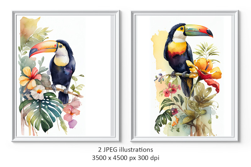 toucan-birds-watercolor-illustrations