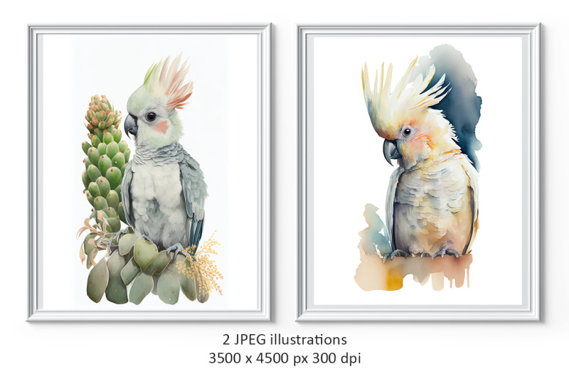 cockatoo-parrots-watercolor-illustrations