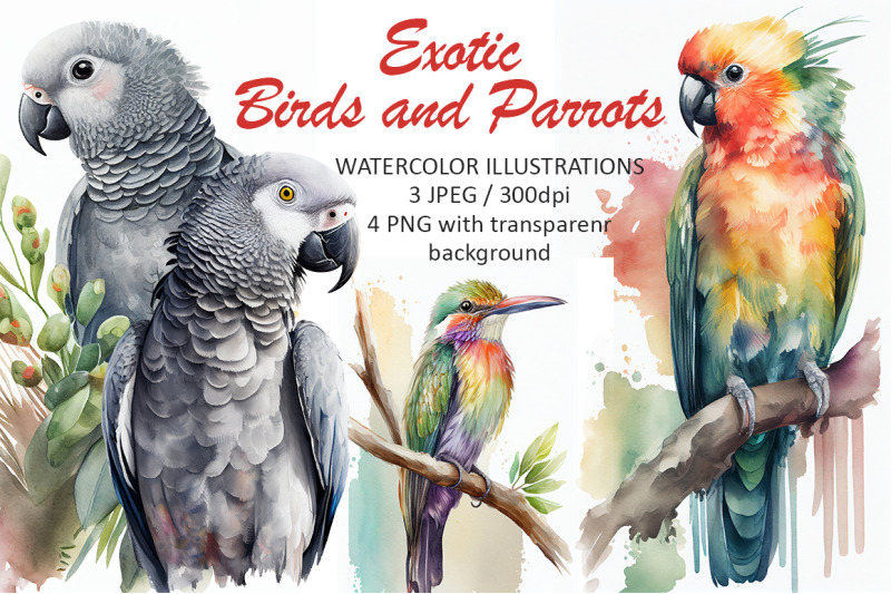 exotic-birds-watercolor-illustration