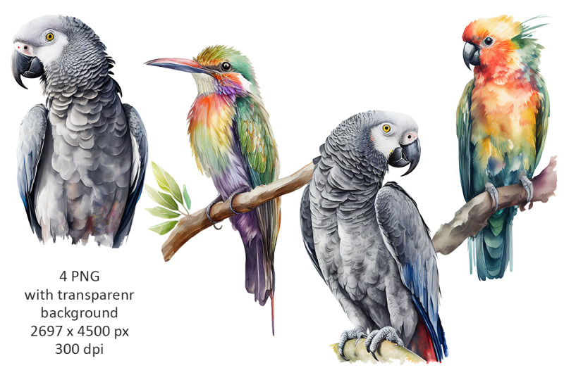 exotic-birds-watercolor-illustration