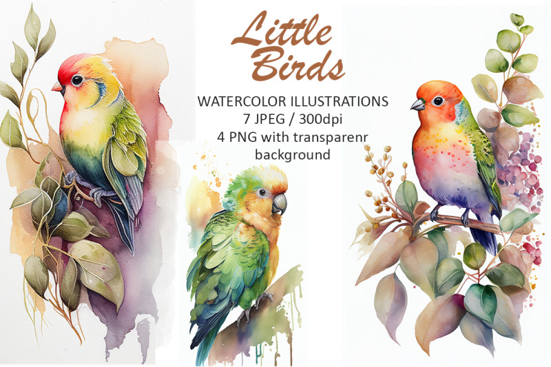 little-birds-watercolor-illustrations