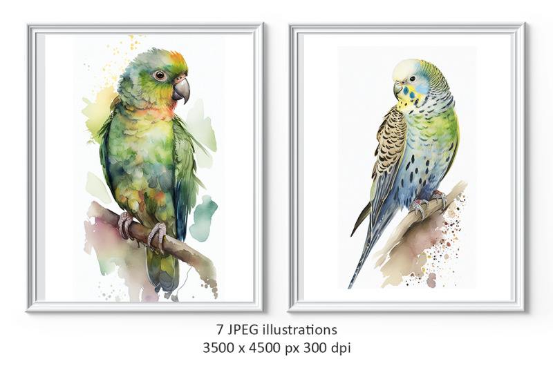 little-birds-watercolor-illustrations