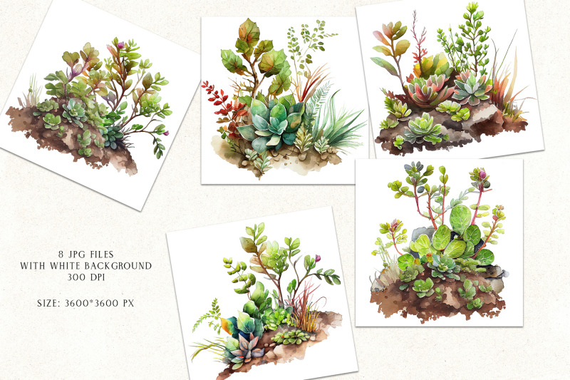 watercolor-herbal-hummocks-clipart