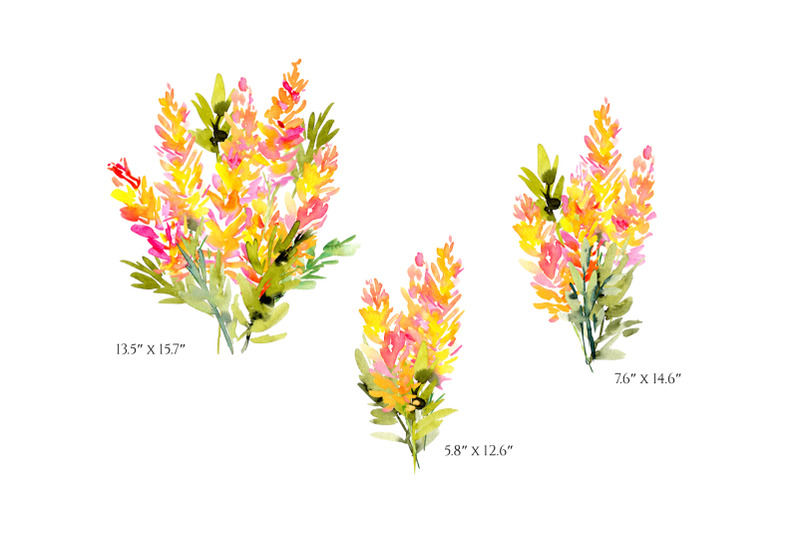 watercolor-pink-yellow-lupine-flowers