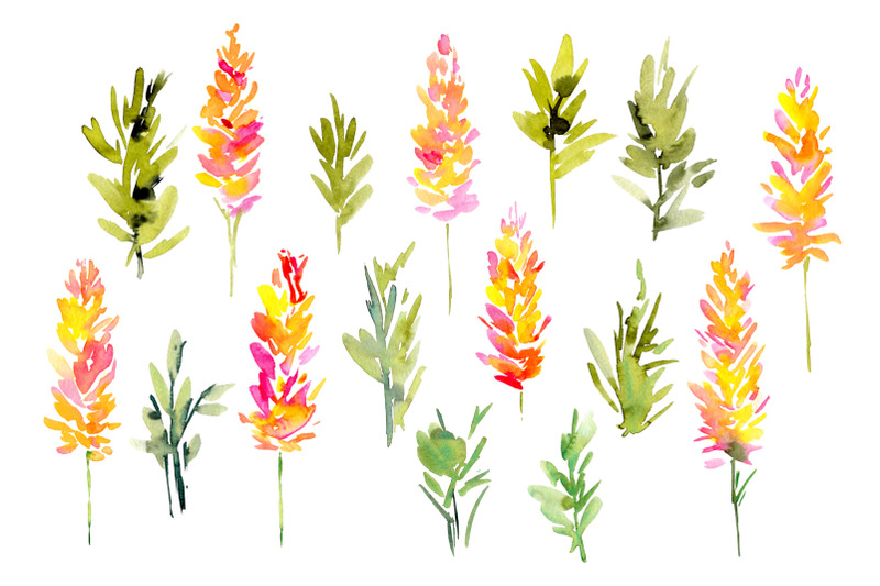 watercolor-pink-yellow-lupine-flowers